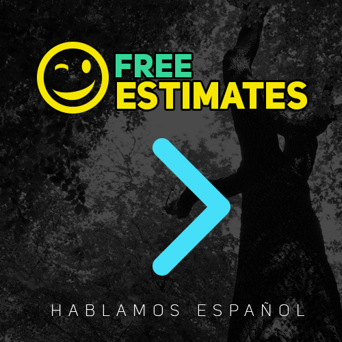 free tree triming estimates